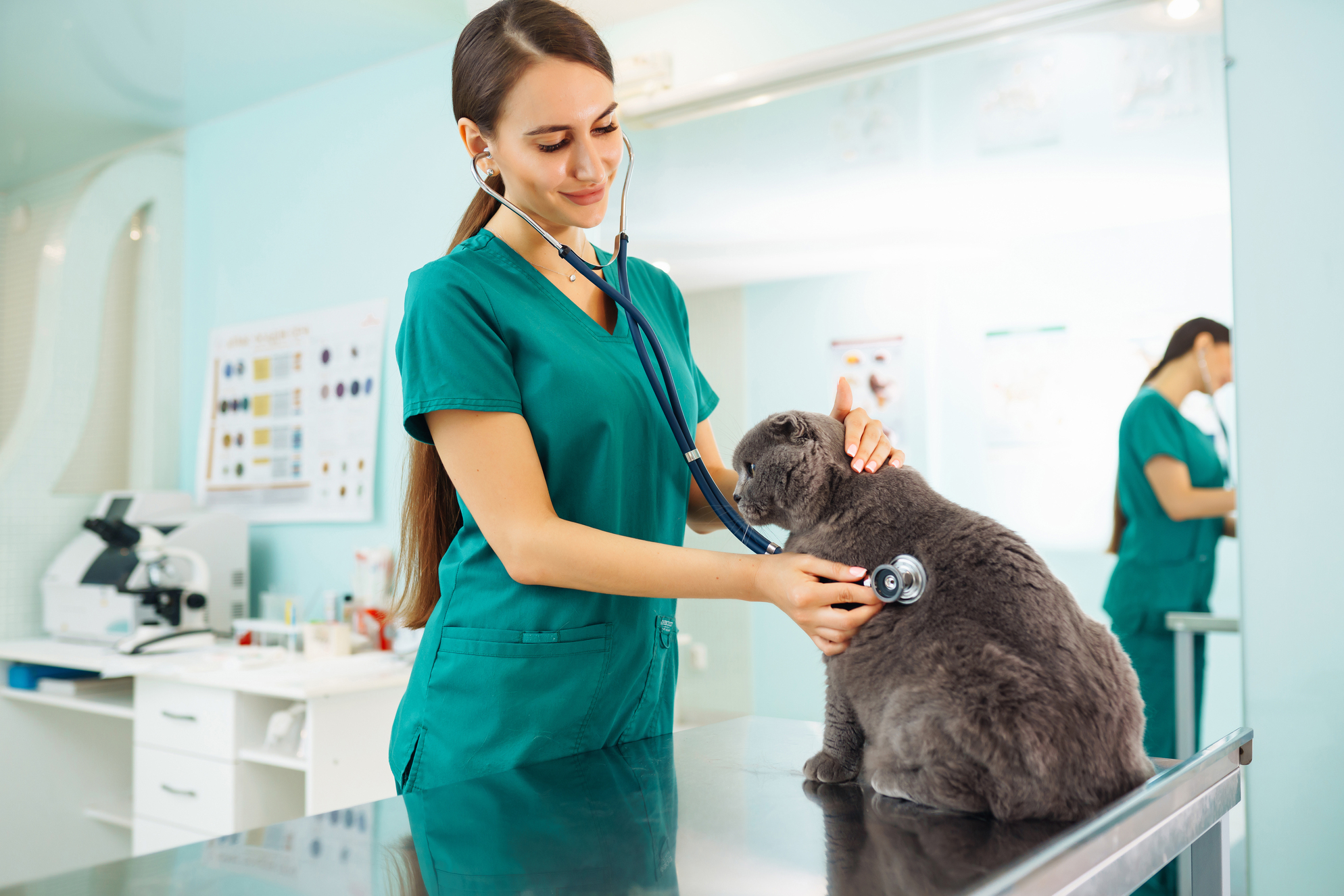 Persona observando diferentes clínicas veterinarias y hablando con un veterinario, buscando el mejor centro en Villarrubia de los Ojos para su mascota