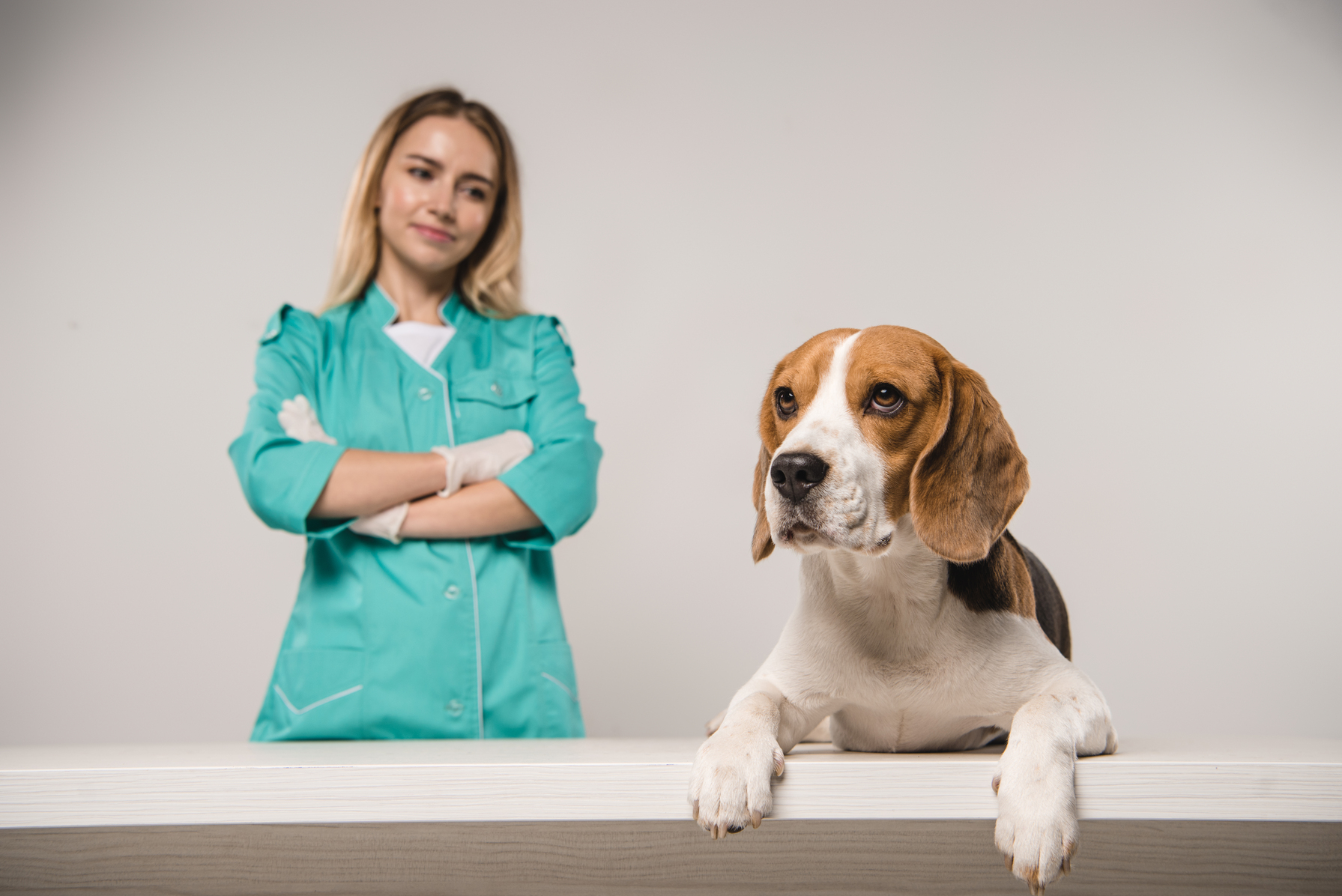 Propietario observando síntomas preocupantes en su perro y gato en casa, buscando señales de enfermedad antes de acudir a la clínica veterinaria