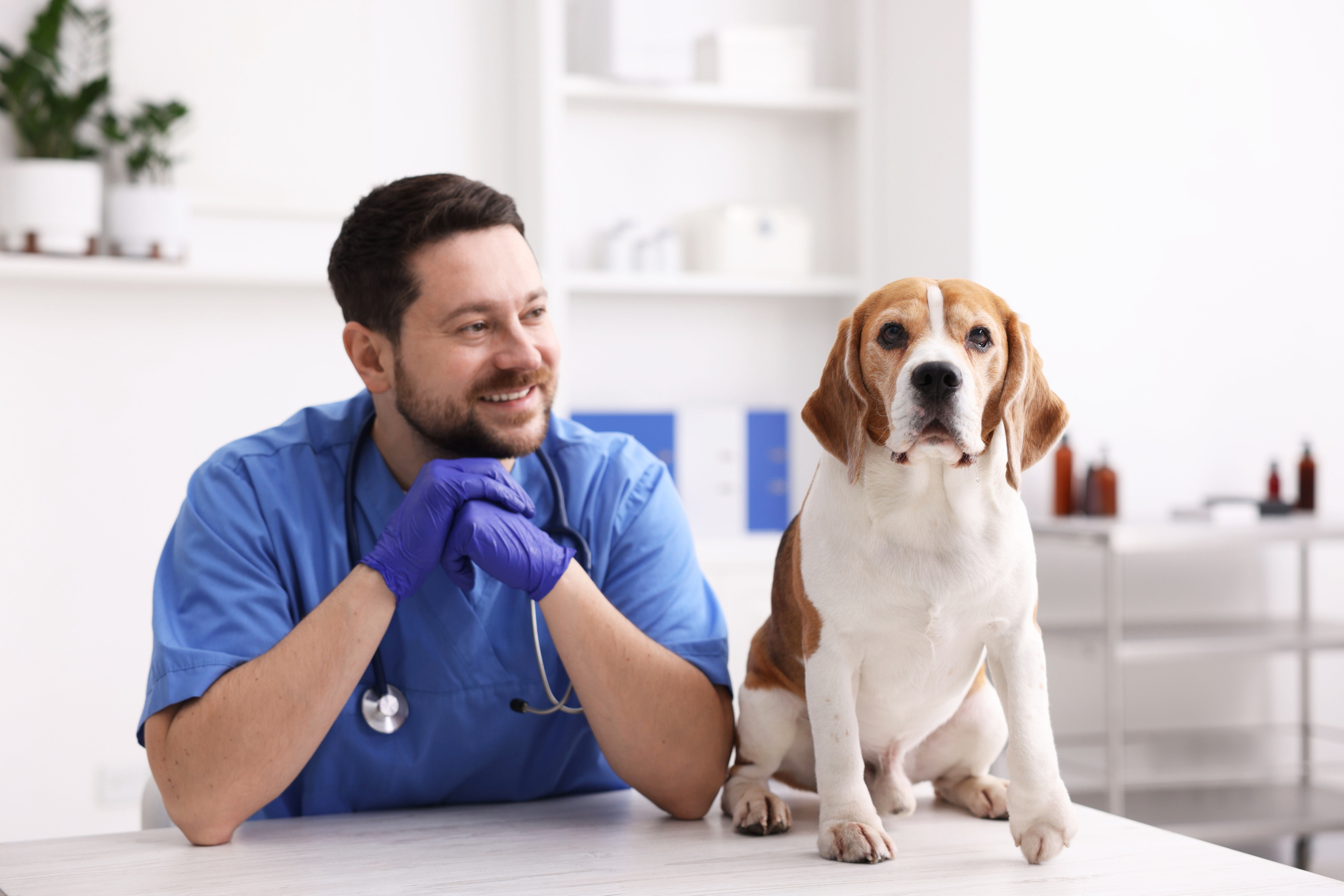 Fachada de una clínica veterinaria, profesionales recibiendo mascotas y dueños en Villarrubia de los Ojos, ambiente acogedor y moderno